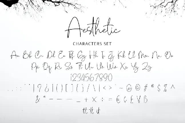 Aesthetic font