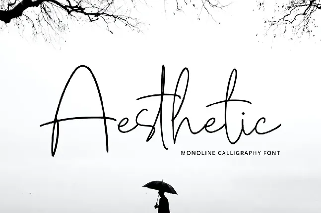 Aesthetic font