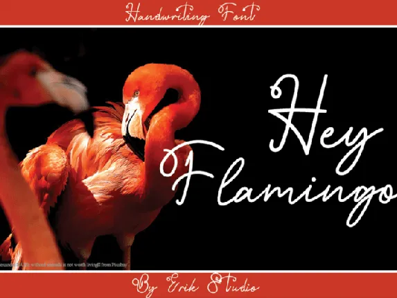 Hey Flamingo Handwritten font