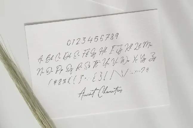 Antonio Fischer font