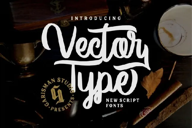 Vector Type Script font