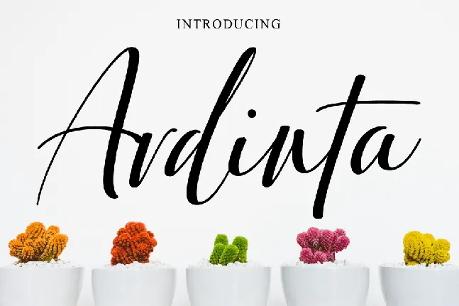 Ardinta font