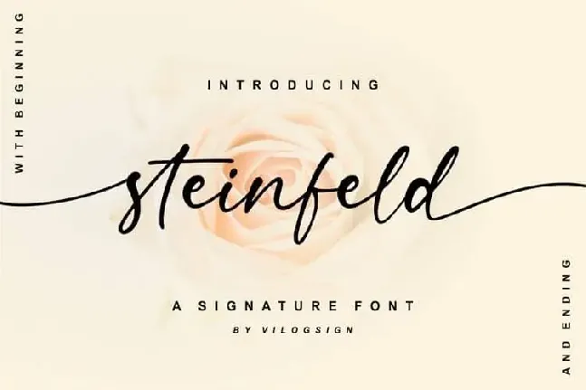 Steinfeld Script font