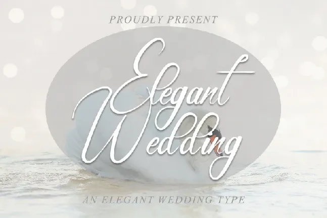 Elegant Wedding font