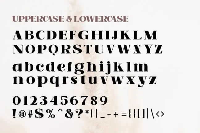 Asteru Typeface font