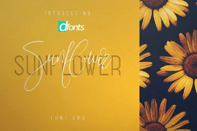 Sunflower Duo font