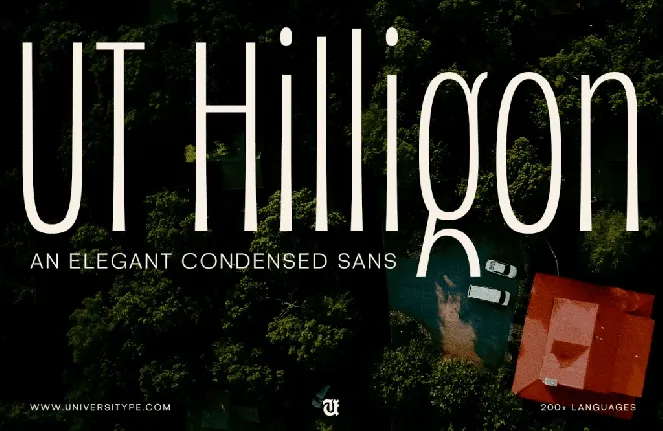 UT Hilligon Demo font