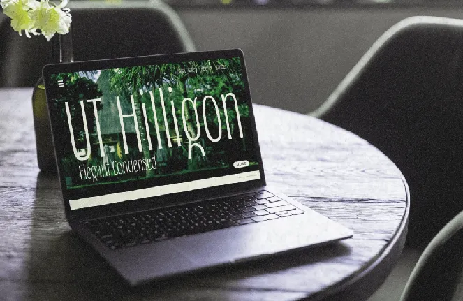 UT Hilligon Demo font