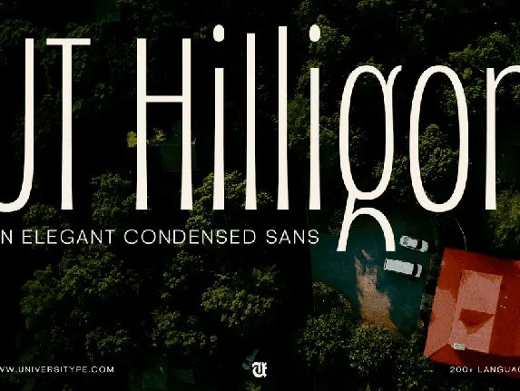 UT Hilligon Demo font