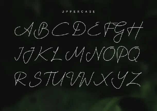 Harshita font