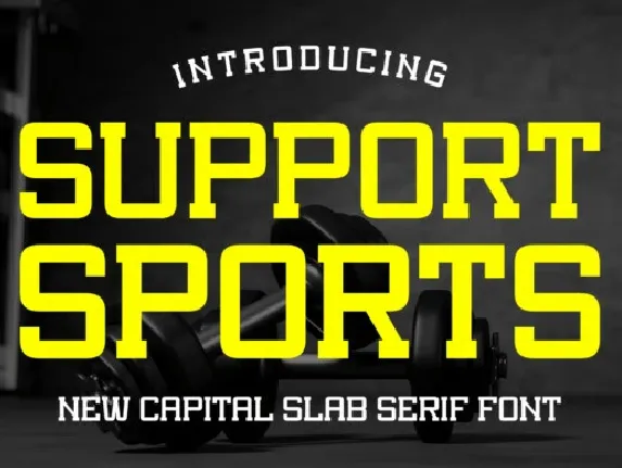 Support Sports font