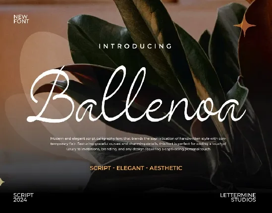 Ballenoa Demo font