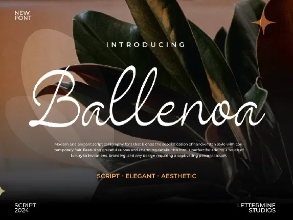 Ballenoa Demo font