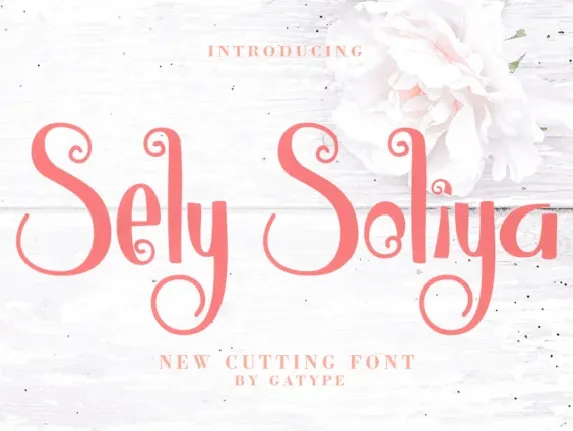 Sely Soliya font