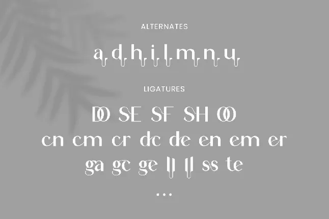 Augent font