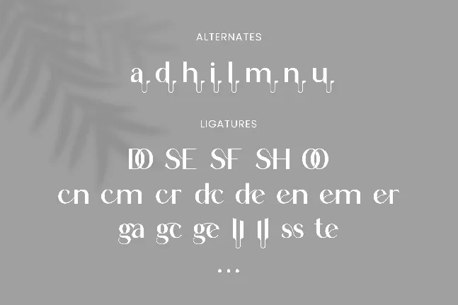 Augent font