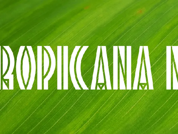 Tropicana NF font