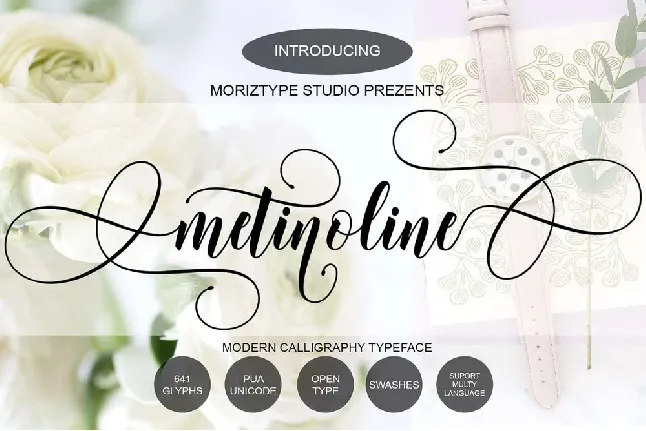 Metinoline font