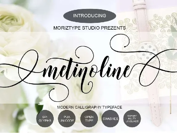 Metinoline font