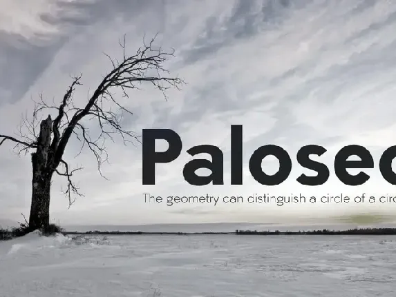 Paloseco font