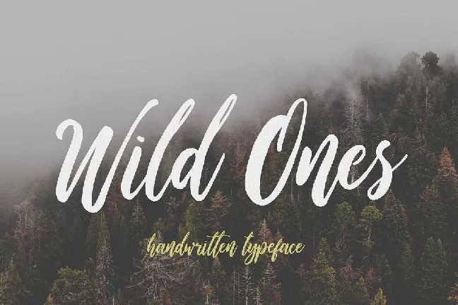 Wild Ones Script Free font