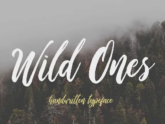 Wild Ones Script Free font