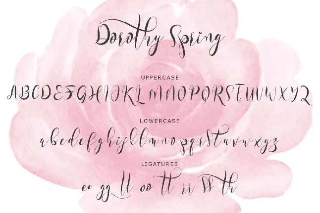 Dorothy Spring font