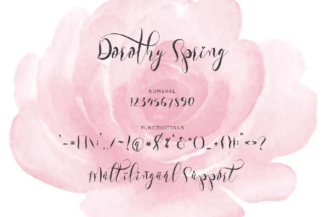 Dorothy Spring font