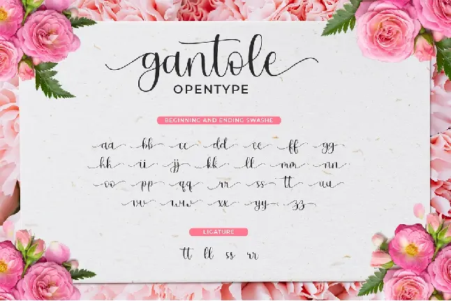 gantole font