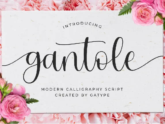 gantole font