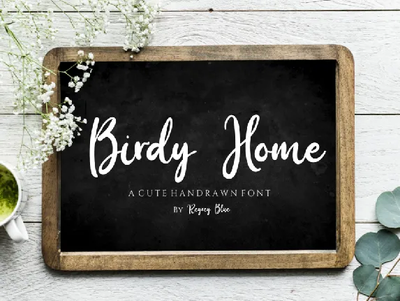 Birdy Home Script font