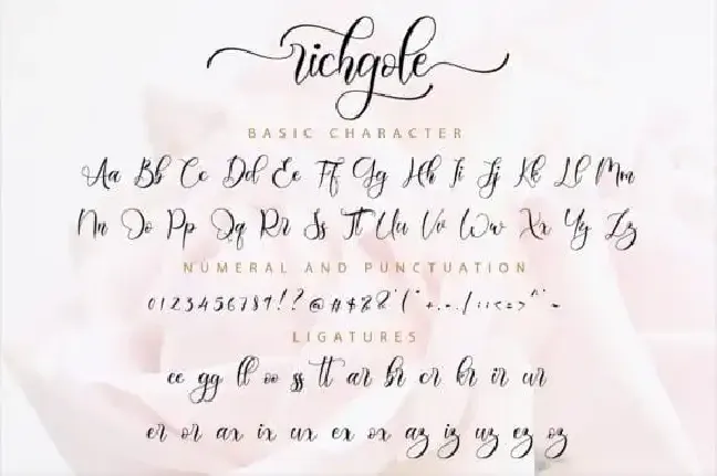 Richgole Calligraphy font