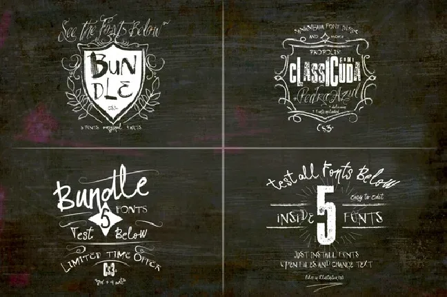 BUNDLE FONTS 133421