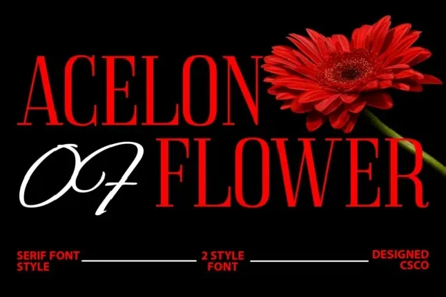 Acelon font