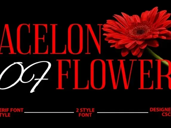 Acelon font