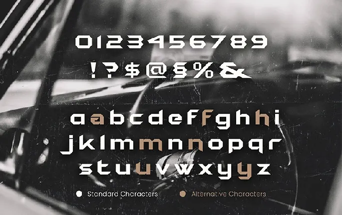 Bruce Forever font