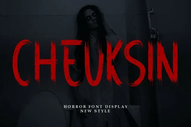 Cheuksin Display font