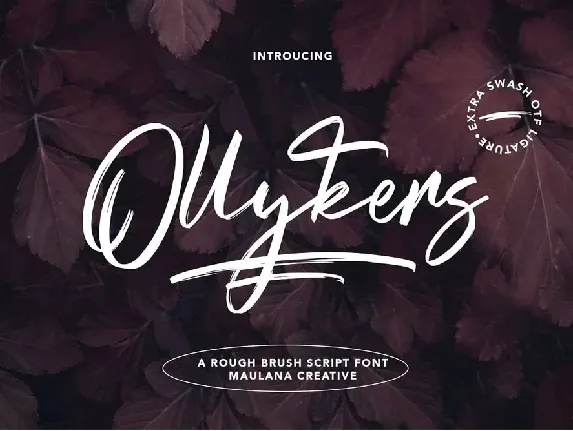 Ollykers font