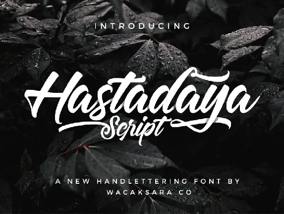 Hastadaya font