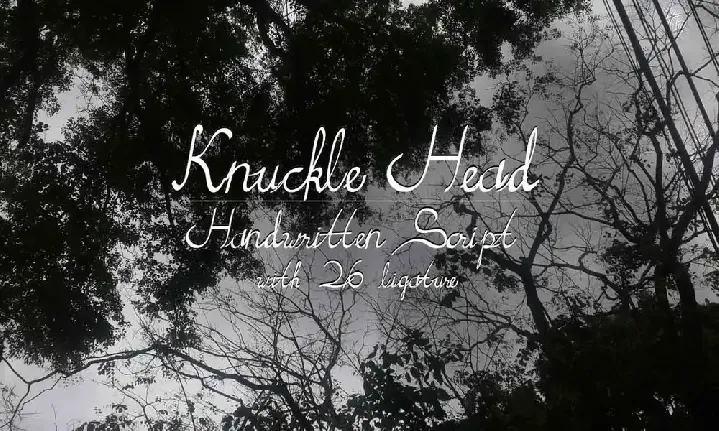 Knuckle Head font