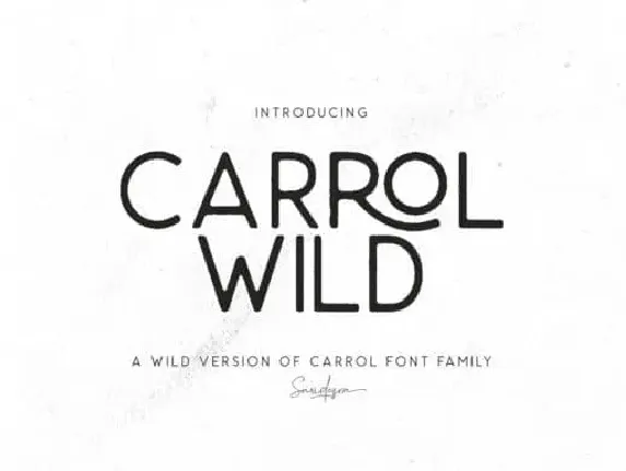 Carrol Wild Sans Serif font