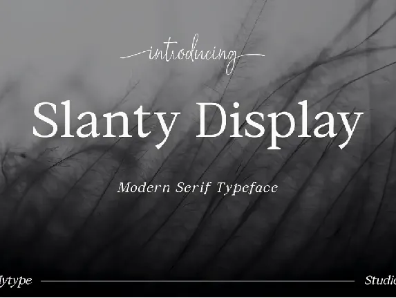 Slanty Display font