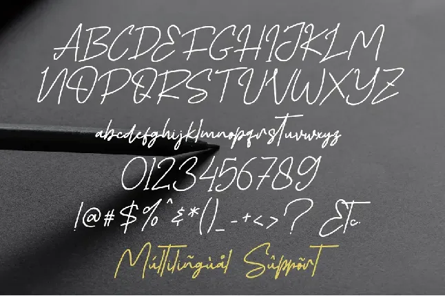 Alvero Signature Italic - Perso font