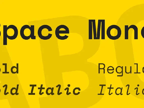 Space Mono font