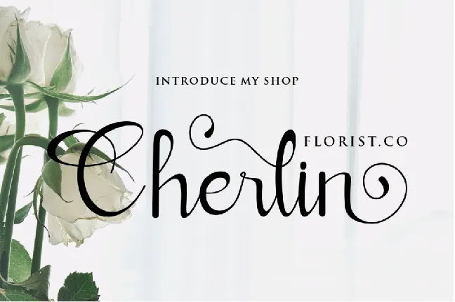 Verllina font