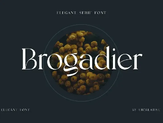 Brogadier font