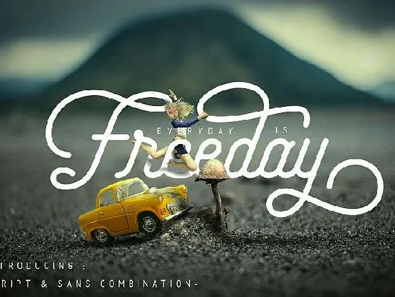 Freeday Family Free font