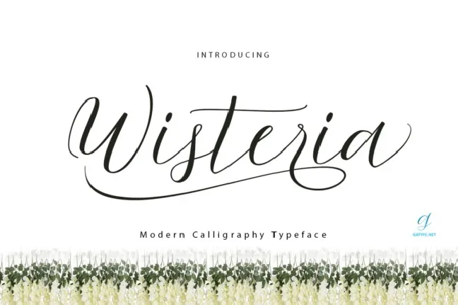 Wisteria Script font