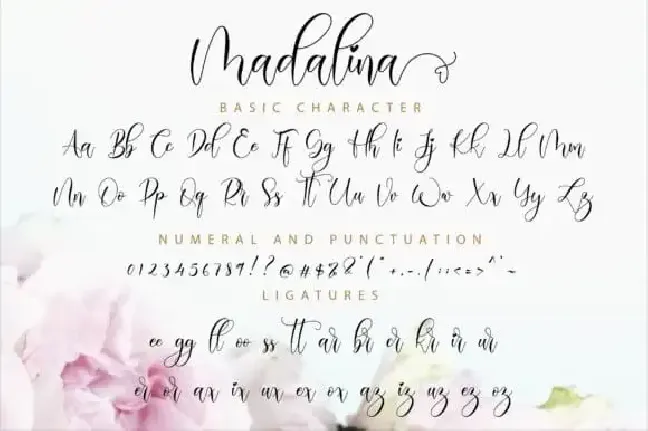 Madalina Calligraphy font