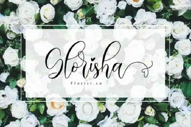 Madalina Calligraphy font